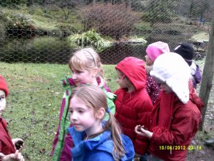 Year 3 the Gruffalo trip to the Gortin Glens