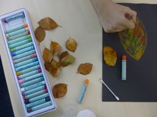 Autumn Leaves Investigation