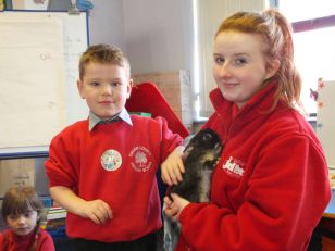 Jolleys Pet Store visits Year 1