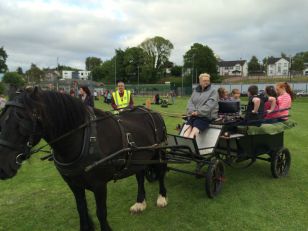 Summer Fair Fun