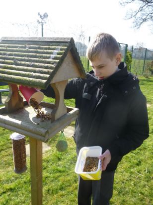 Bird Watching in the School Garden