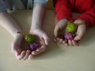 Do Spiders Hate Conkers?