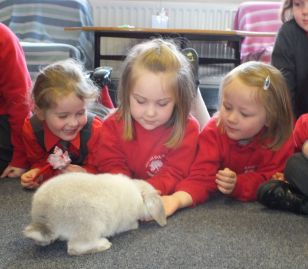 Year 1 get a visit from Jollyes 