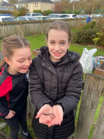 Year 6 Eco Schools Gardening Workshop