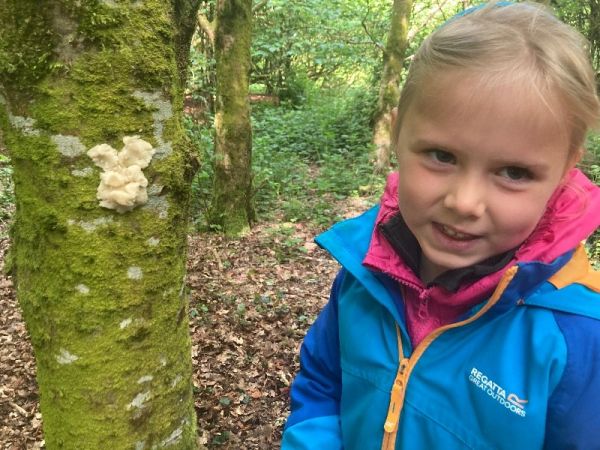 If you go down to the woods today beware of…Year 1! 🧸