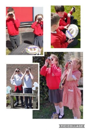 Year 4 go outdoors to learn about birds!