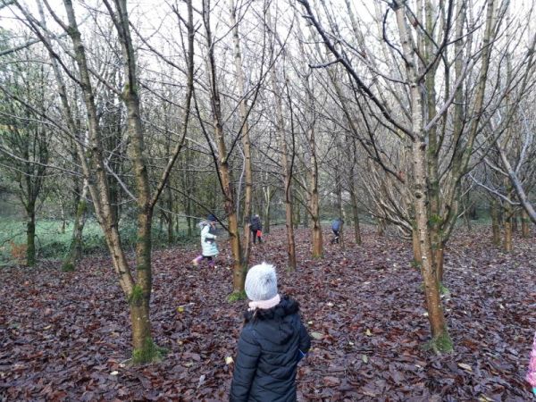 Year 5's Forest School Visit