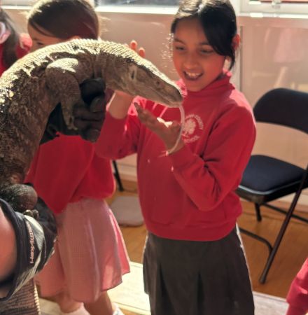 P5 Goes Prehistoric with Jurassic Ark Encounters!