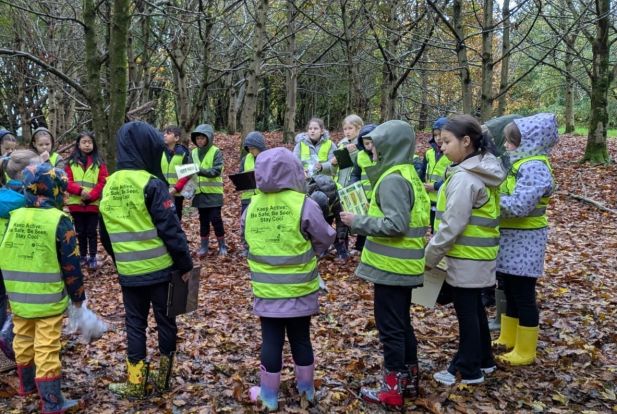 Autumn Forest School
